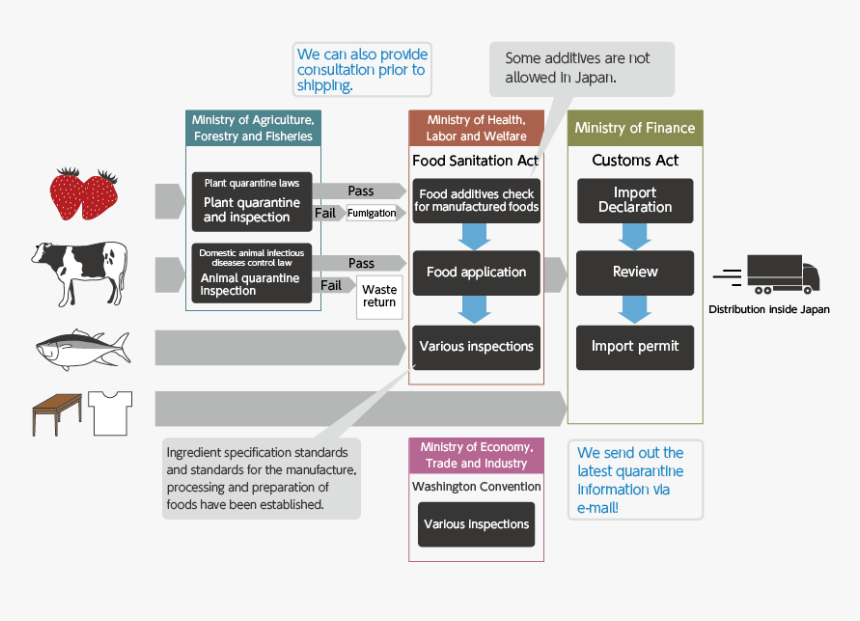 Food Import Clearance System, HD Png Download, Free Download