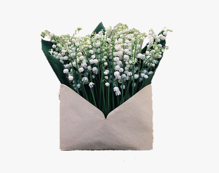 Image - Mail Flower, HD Png Download, Free Download