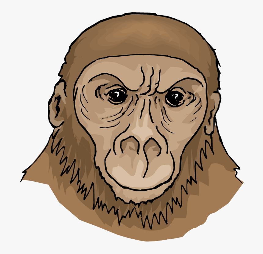 Free Ape - First Apes Ape Clipart, HD Png Download, Free Download