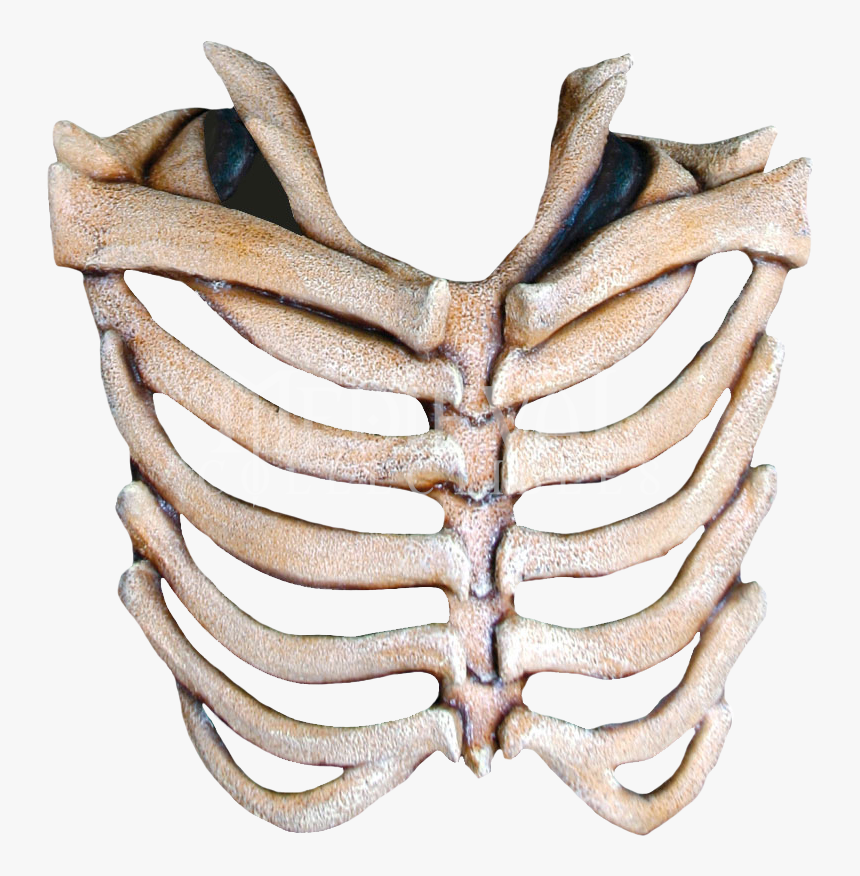 Mask Rib Cage Human Skeleton Skull Transparent Rib Cage Png Png Download Kindpng