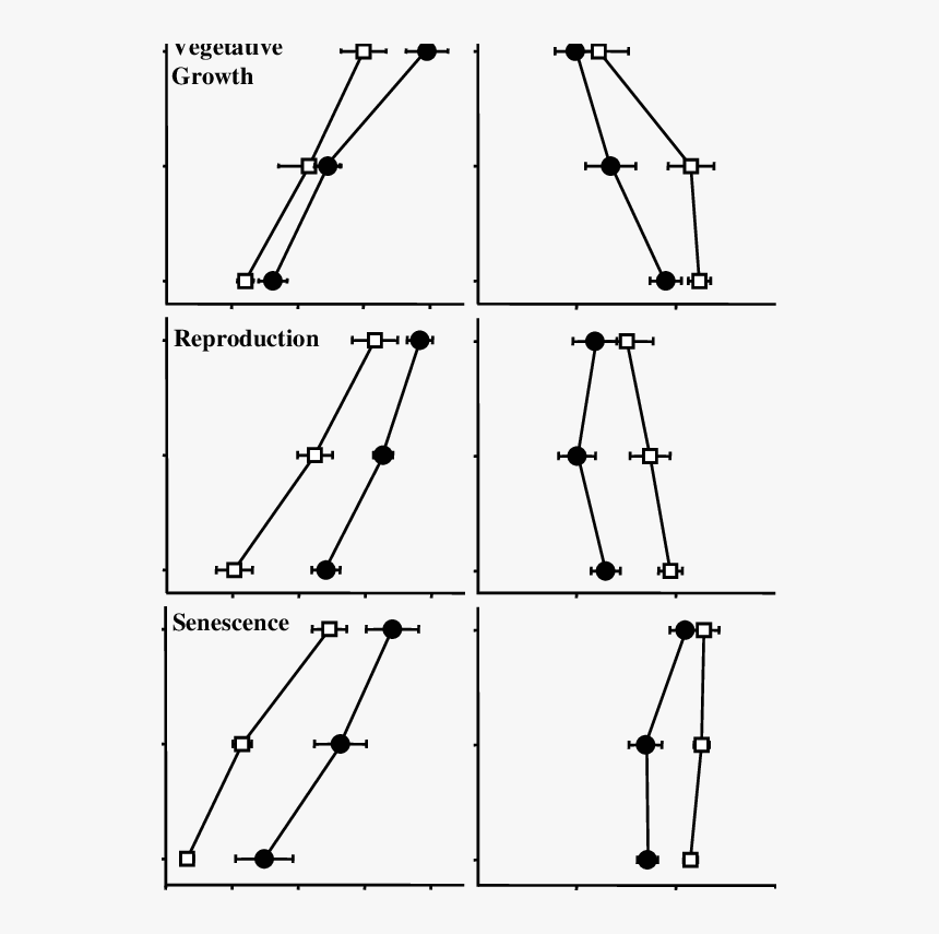 Diagram, HD Png Download, Free Download