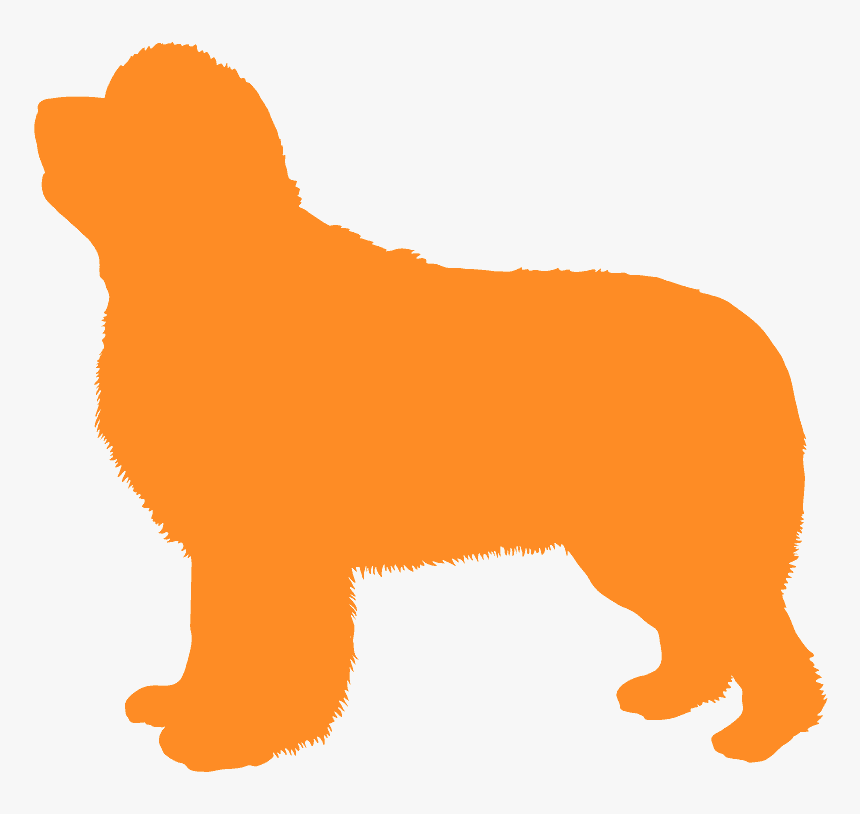 Dog, HD Png Download, Free Download