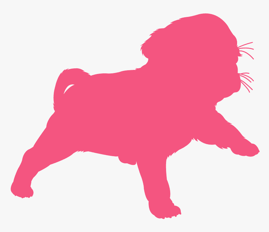 Dog, HD Png Download, Free Download