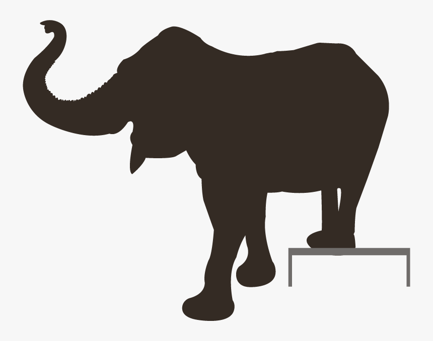 Elephant Shadow Png - Indian Elephant, Transparent Png, Free Download