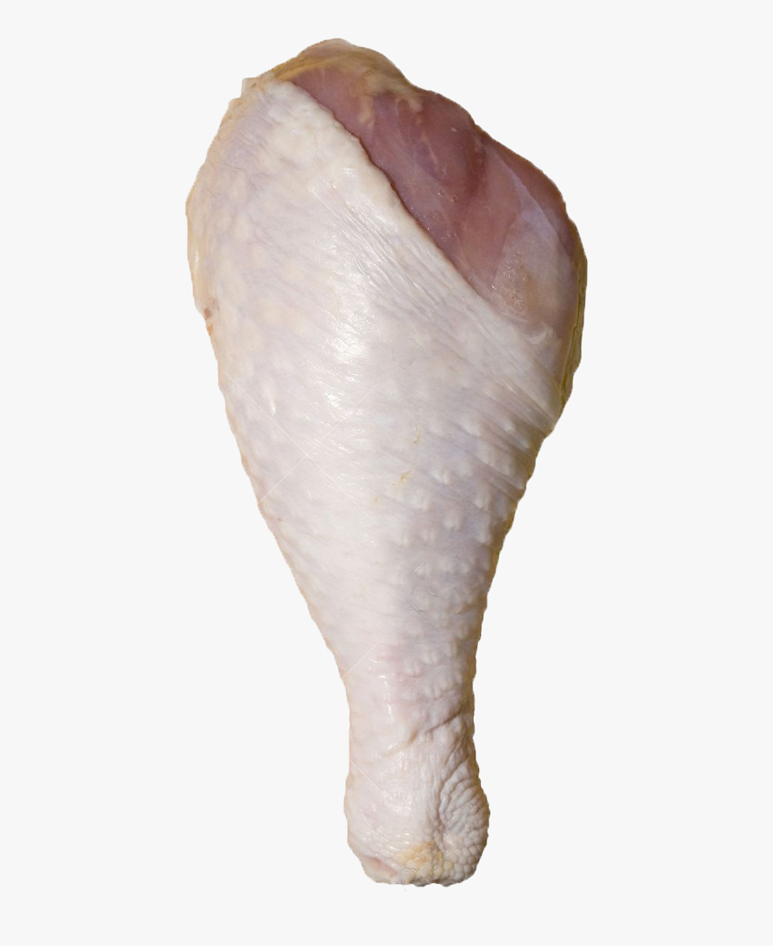 Turkey Leg Png Clipart , Png Download - Geography Cone, Transparent Png, Free Download