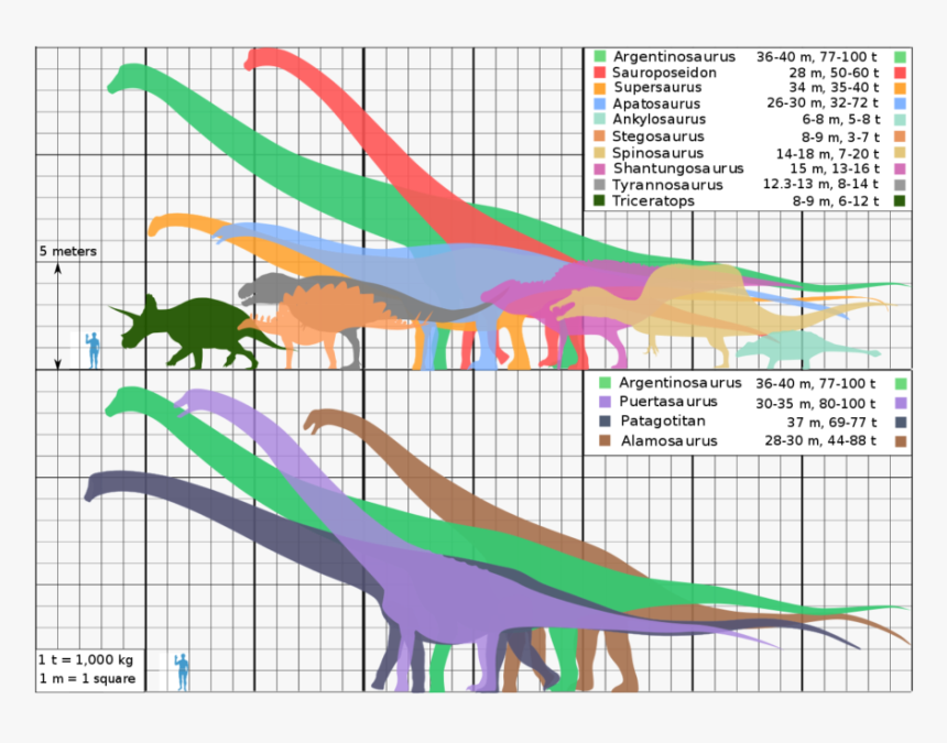 Shantungosaurus Size, HD Png Download, Free Download