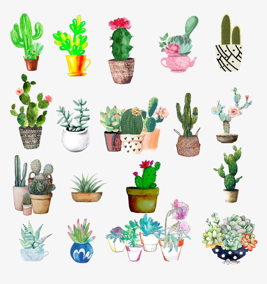 #watercolor #cactus #succulent - Flowerpot, HD Png Download, Free Download