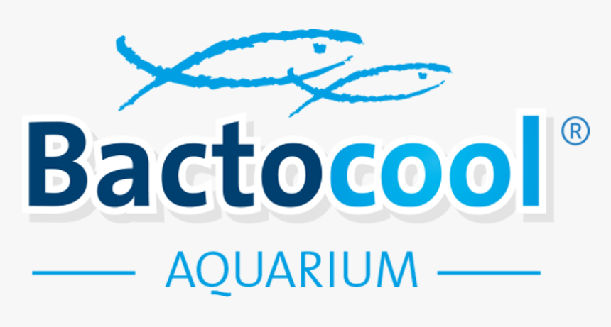 Bactocool Aquarium - Pioneer Village Rv Resort, HD Png Download, Free Download