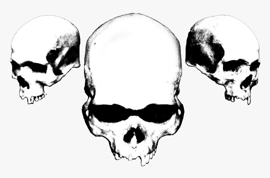 Cerasus Design - Black And White Skulls, HD Png Download, Free Download