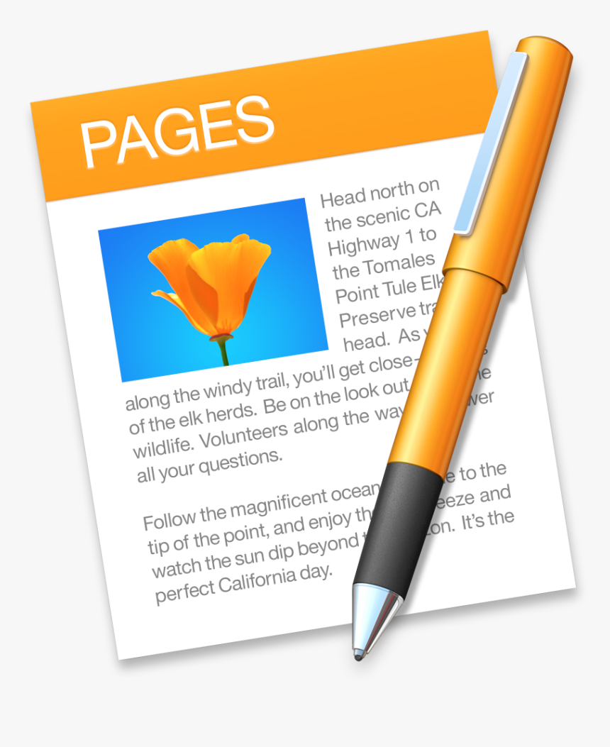 Page logo. Pages приложение. Логотип Page. Apple IWORK Pages. Иконка Pages Mac os.