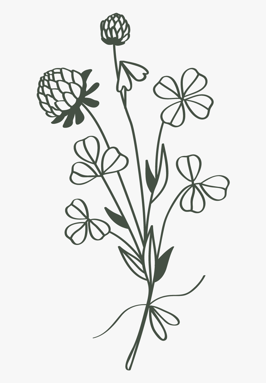 Cec 13 Bouquet Green - Buttercup, HD Png Download, Free Download