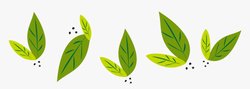 Leafs, HD Png Download, Free Download