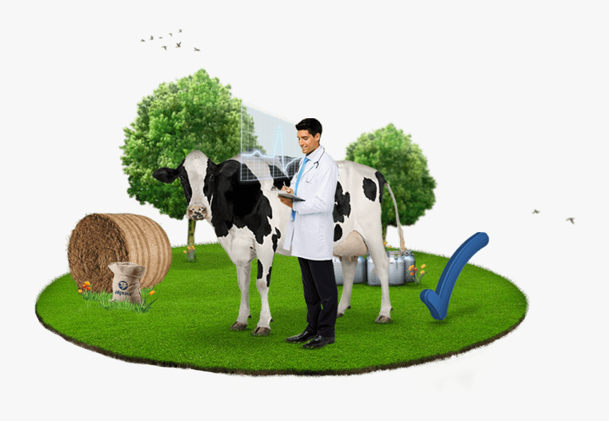 Alpura Nuestras Vacas Salud - Artificial Turf, HD Png Download, Free Download
