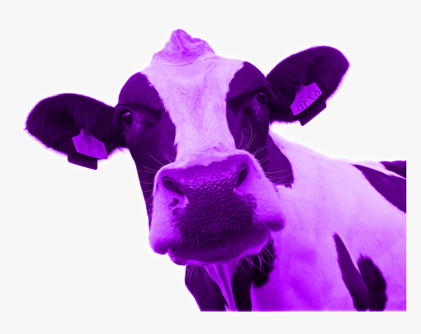 Cerveza Artesana Dolina - Purple Cow Png, Transparent Png, Free Download