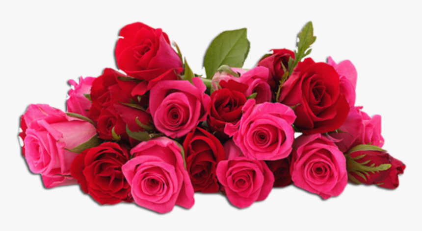 #flores #rosas #vermelha #rad - Wedding Pink Roses Png, Transparent Png, Free Download