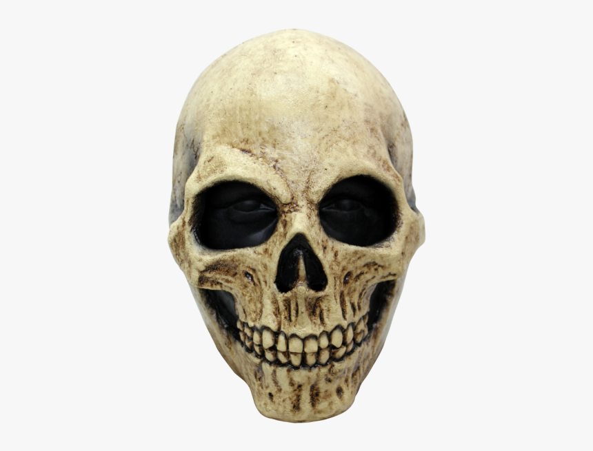 Skull Png, Transparent Png, Free Download