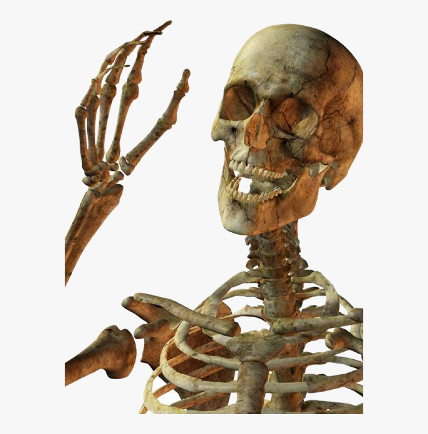 Esqueleto Ola - Skeleton Png, Transparent Png, Free Download