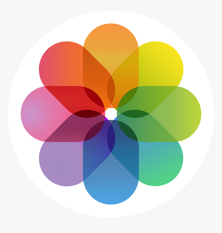 Ios 7 Contacts App Icon Iphone Camera Roll Icon Hd Png Download Kindpng