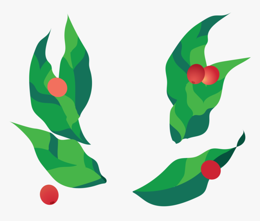 Coffee Plant Animation Png, Transparent Png, Free Download