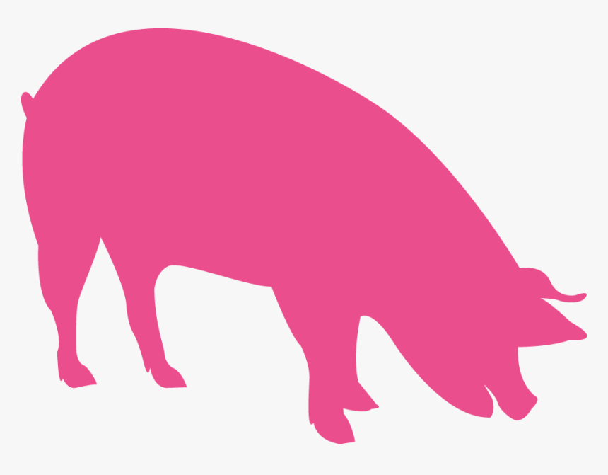 Vigorous Piglets And Finishers - Feed Pig Icon, HD Png Download - kindpng