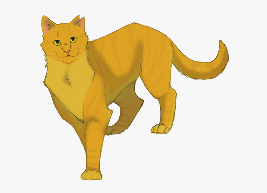 Sunstar - Sunstar Warrior Cats, HD Png Download, Free Download