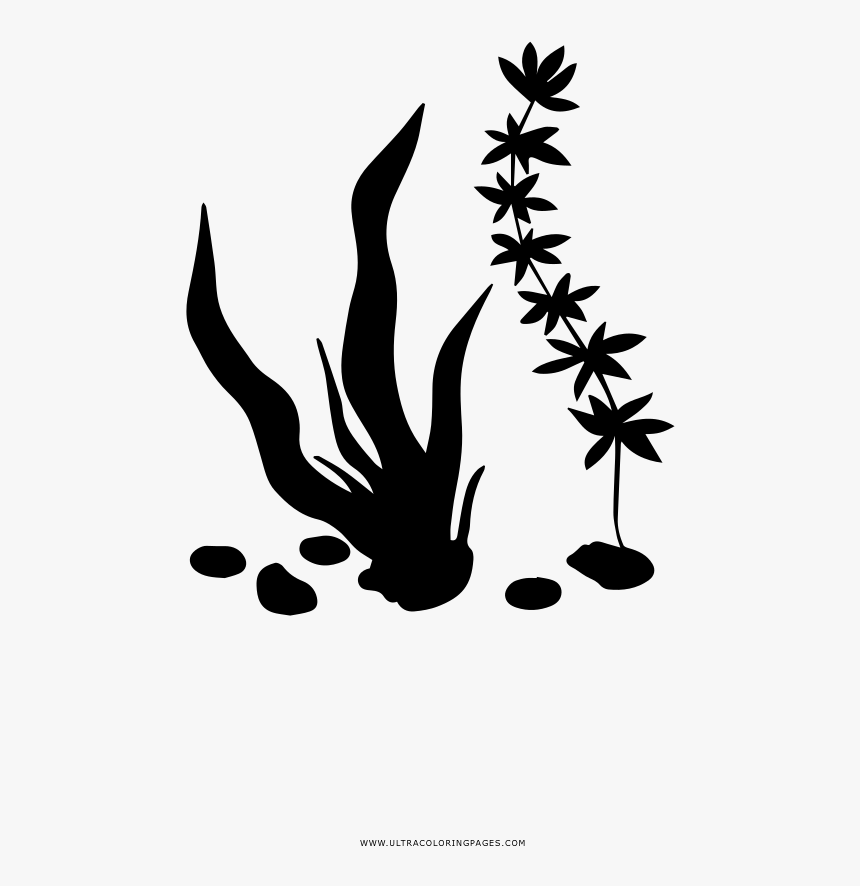 Seaweed Coloring Page - Vinyl Wall Decal Fish Aquarium Sticker, HD Png Download, Free Download