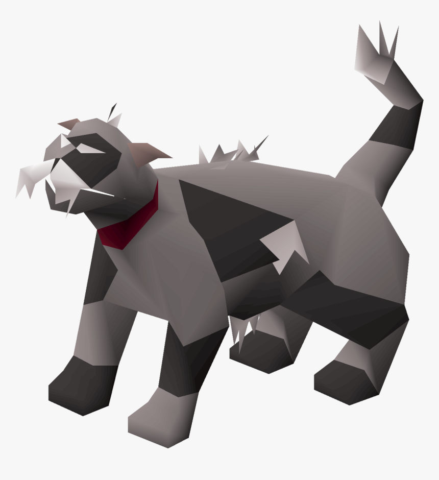 Cat Osrs, HD Png Download, Free Download