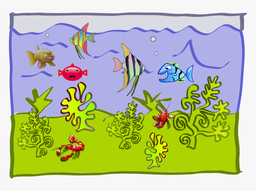 Karneval Der Tiere Aquarium, HD Png Download, Free Download