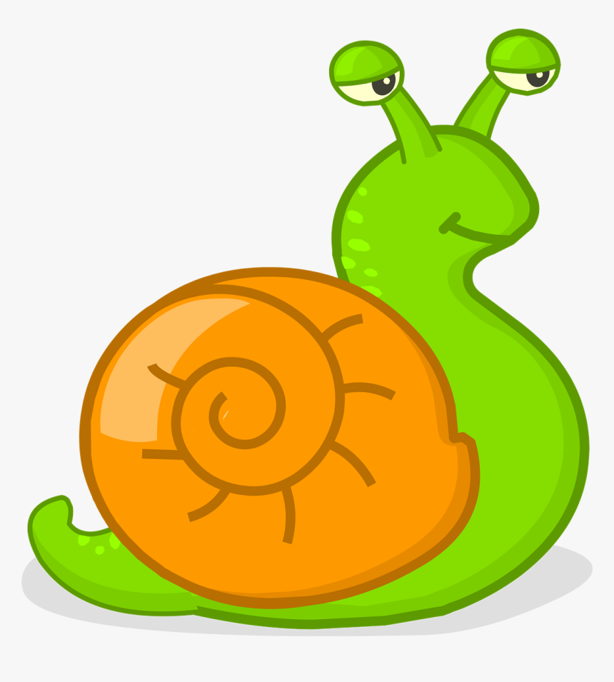 Clip Art Caracol Png - Caracol Png, Transparent Png, Free Download