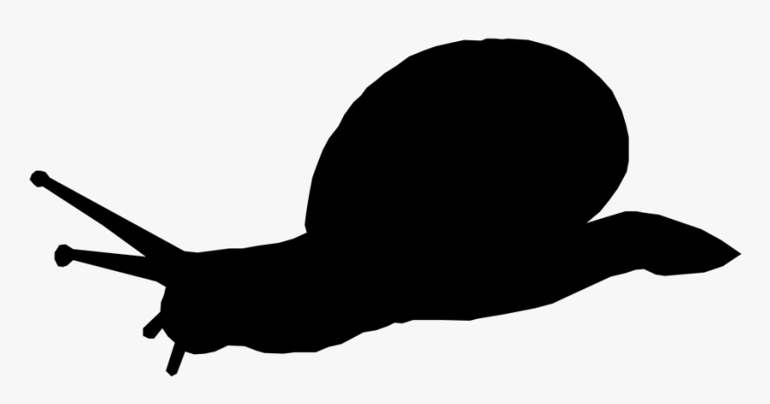 Silueta, Animales, Caracol, Shell, Lento - Snail Silhouette Png, Transparent Png, Free Download