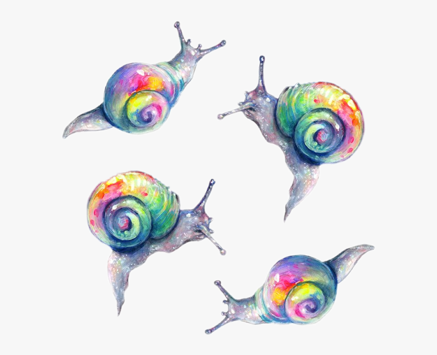 #caracoles #caracol #rainbow #random #snail #snails - Tanya Shatseva Snail, HD Png Download, Free Download