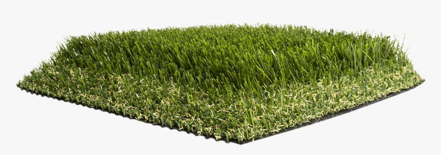 Artificial Grass Liquidators Turf Agl Pro110 Lawn HD Png