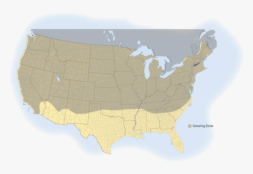 Henderson Turf Tall Fescue Sod Map - Atlas, HD Png Download, Free Download