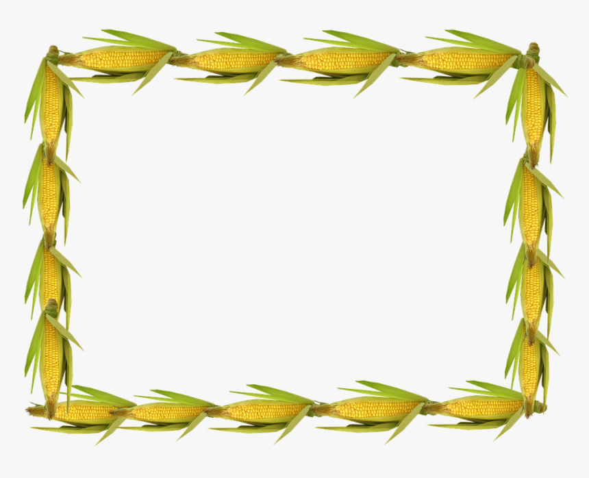 Frame, Border, Sweetcorn - Sweet Corn Border, HD Png Download, Free Download