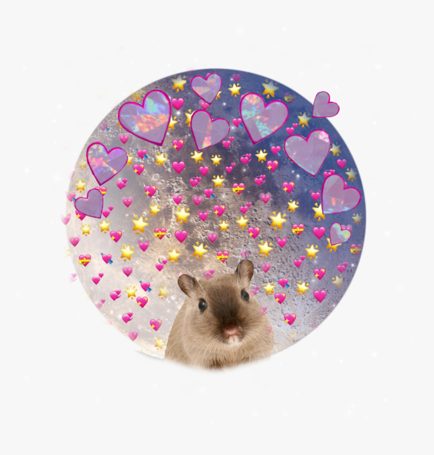 Transparent Gerbil Png - Gerbil, Png Download, Free Download