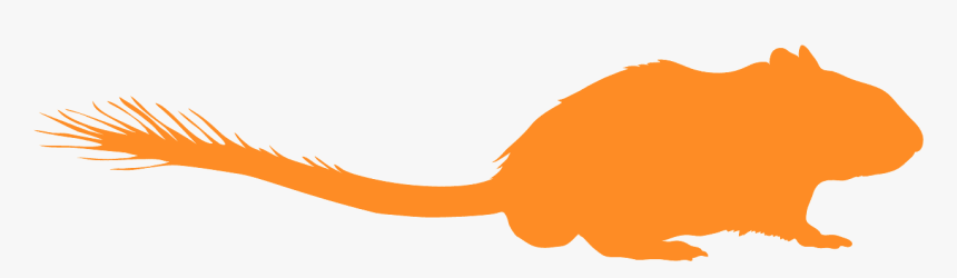 Gerbil Silhouette, HD Png Download, Free Download