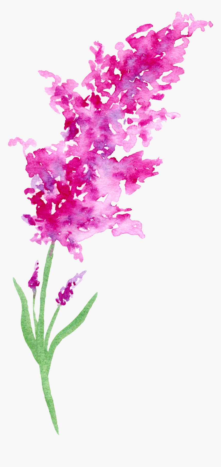 Flower Natalie Graham Watercolour, HD Png Download, Free Download