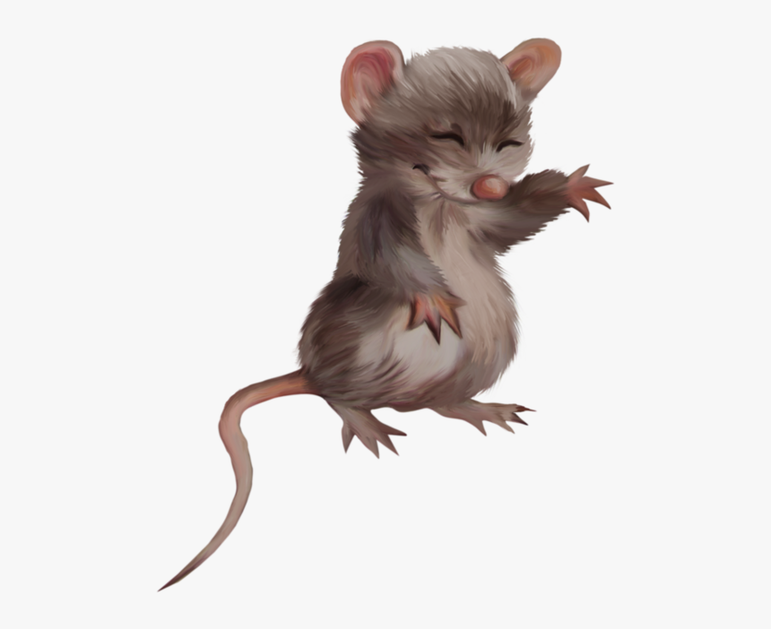 Rat Pet Transparent, HD Png Download, Free Download