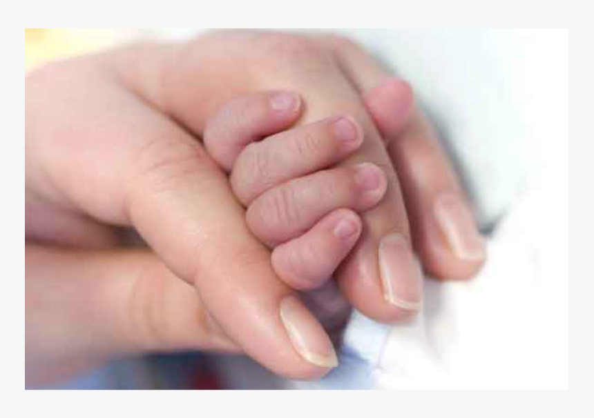 Adult And Child - Girl Hands With Baby, HD Png Download, Free Download