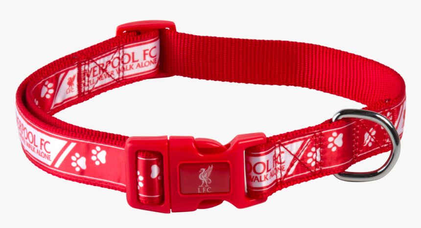 Dog Collar Png - Dog Collar, Transparent Png, Free Download