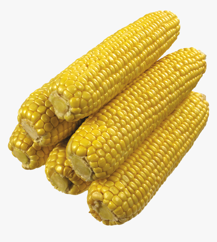 Grab And Download Corn Png Image - Corn On The Cob No Background, Transparent Png, Free Download