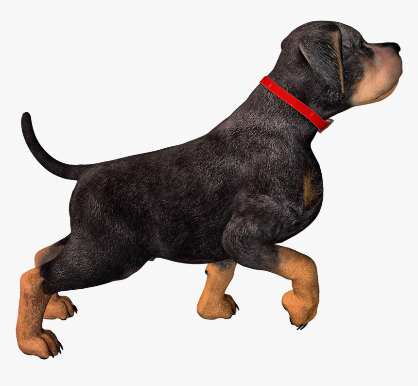 Free High Resolution Graphics And Clip Art - Dog High Resolution Png, Transparent Png, Free Download