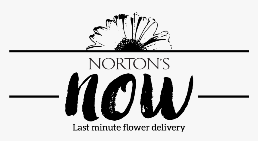 Logo Design By Bern Gd For Norton"s Florist - Calligraphy, HD Png Download, Free Download