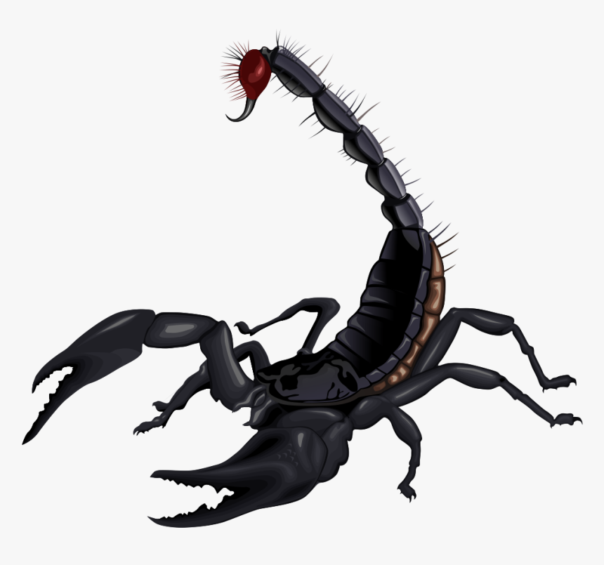 Scorpion Png Image, Transparent Png, Free Download