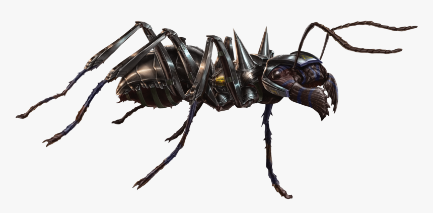 Bullet Ant Fh - Phase Spider Concept Art, HD Png Download, Free Download
