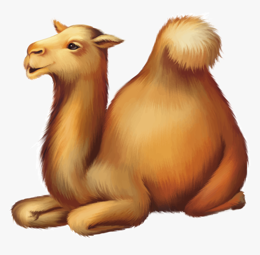 Cartoon Camel Images Png, Transparent Png, Free Download