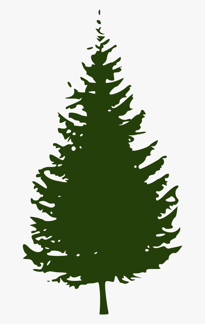 Pine Clipart Coniferous Tree - Pine Tree Silhouette Png, Transparent Png, Free Download