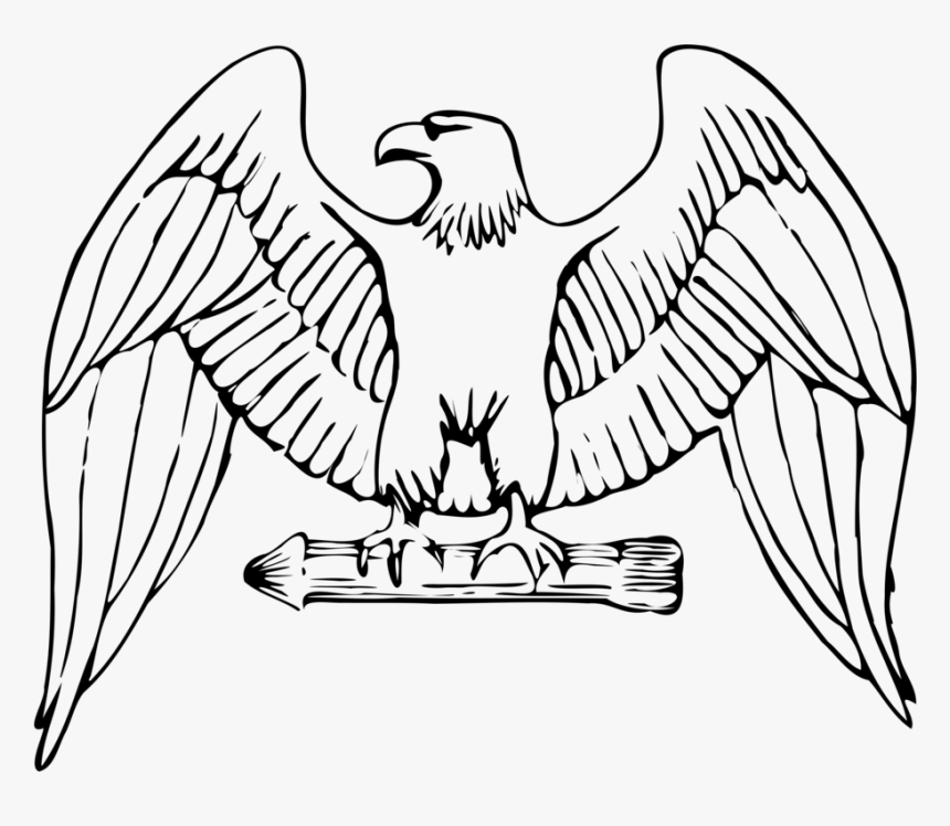 Draw The American Eagle, HD Png Download - kindpng