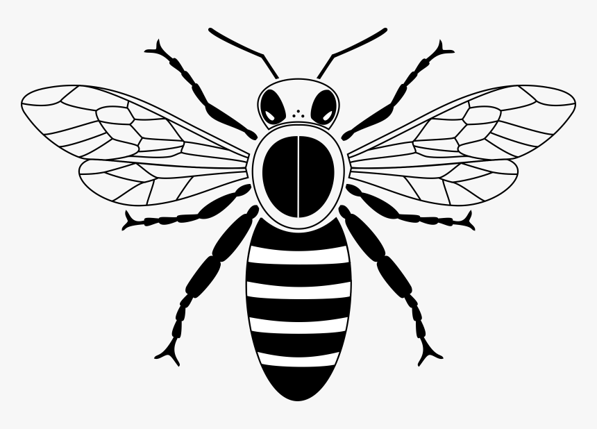 Honey Bee To Draw Queen Bee Svg Free Hd Png Download Kindpng