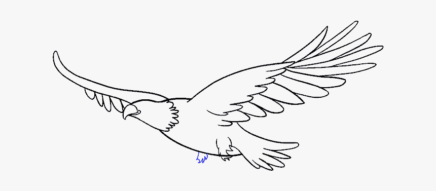 Eagle Drawing And How To Draw Eagle - Draw A Flying Eagle, HD Png ...